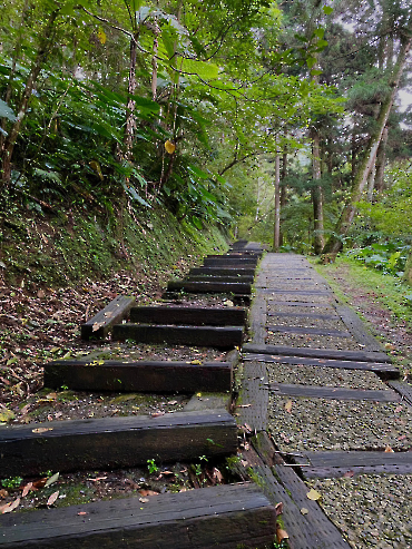 復興－東眼山